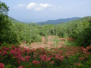 Otome Kogen, Yamanashi